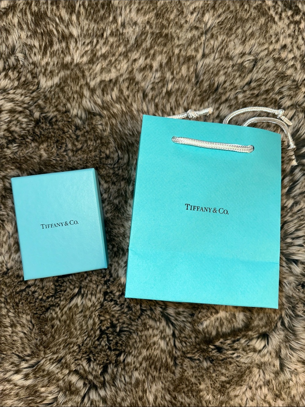 Tiffany & Co. Jewelry Box and Gift Bag
